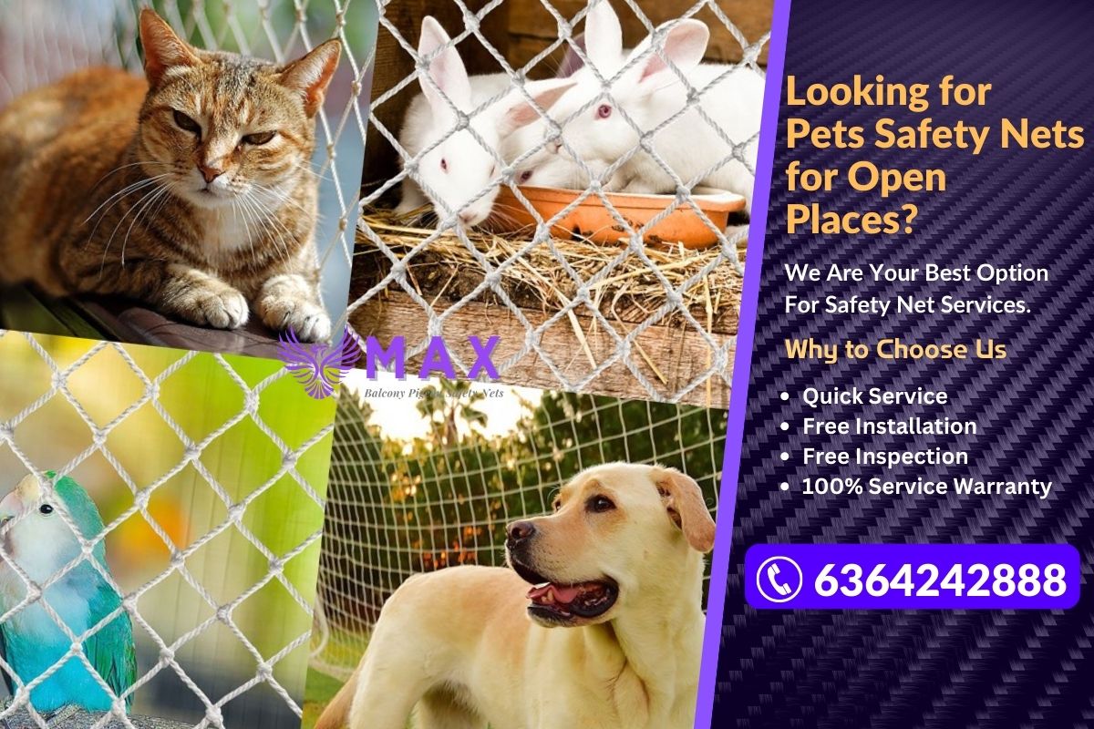 Pets Safety Nets for Open Places in Chennai