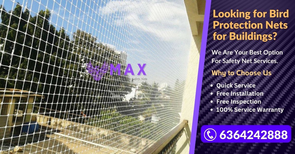 Bird Protection Nets for Buildings in Chennai